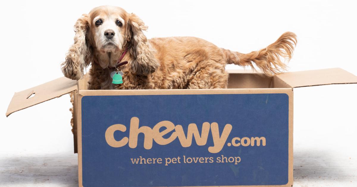 Chewy 2024 dog store