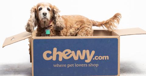 A dog posing in a box of Chewy pet supplies