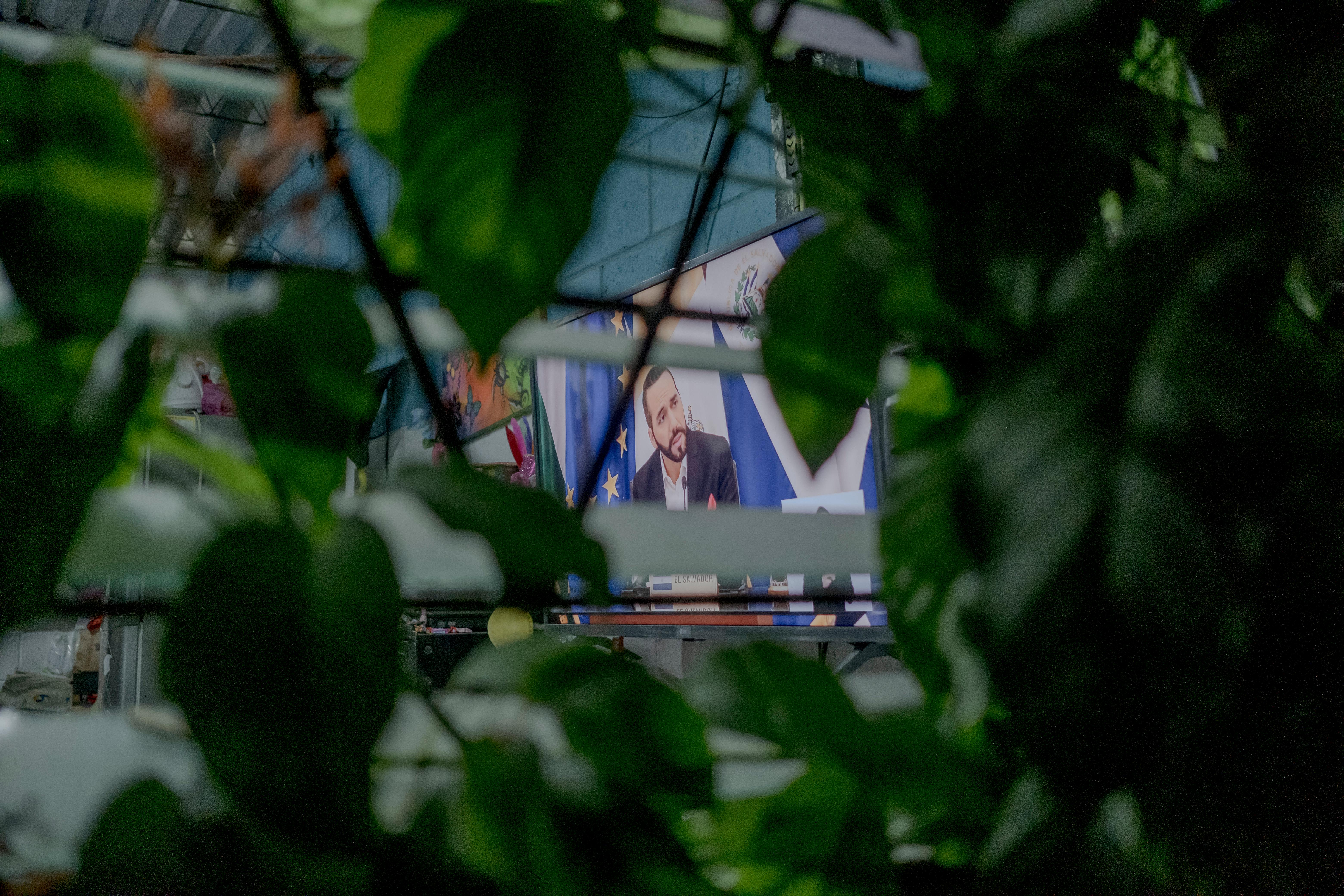 El Salvador President Nayib Bukele