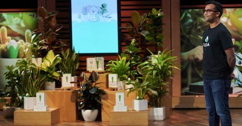 pn//uploads/bbb d ee cf aeaf__