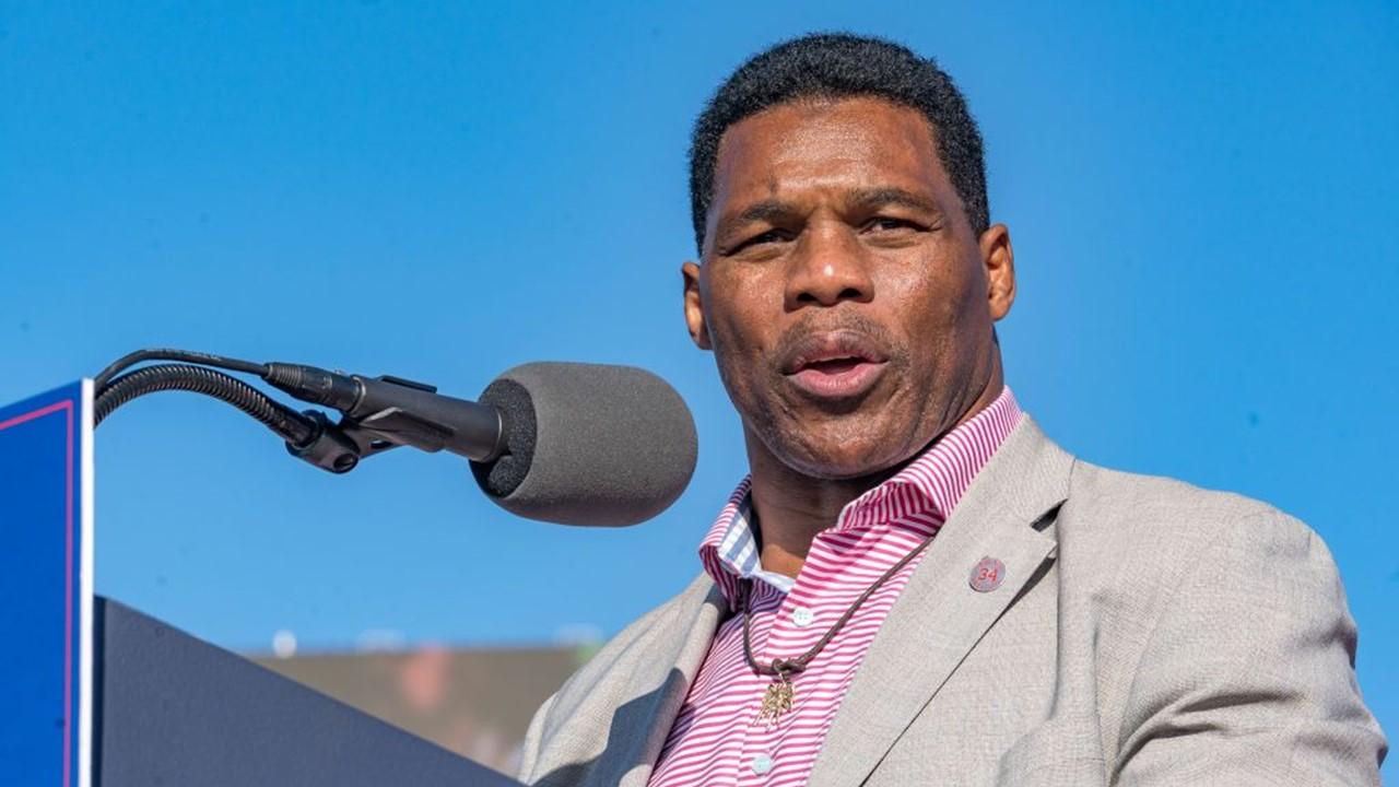 herschel walker senate