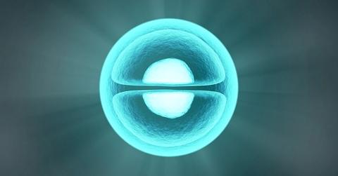 uploads///molecule _