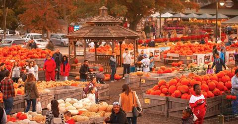 Linvilla Orchard in Illinois