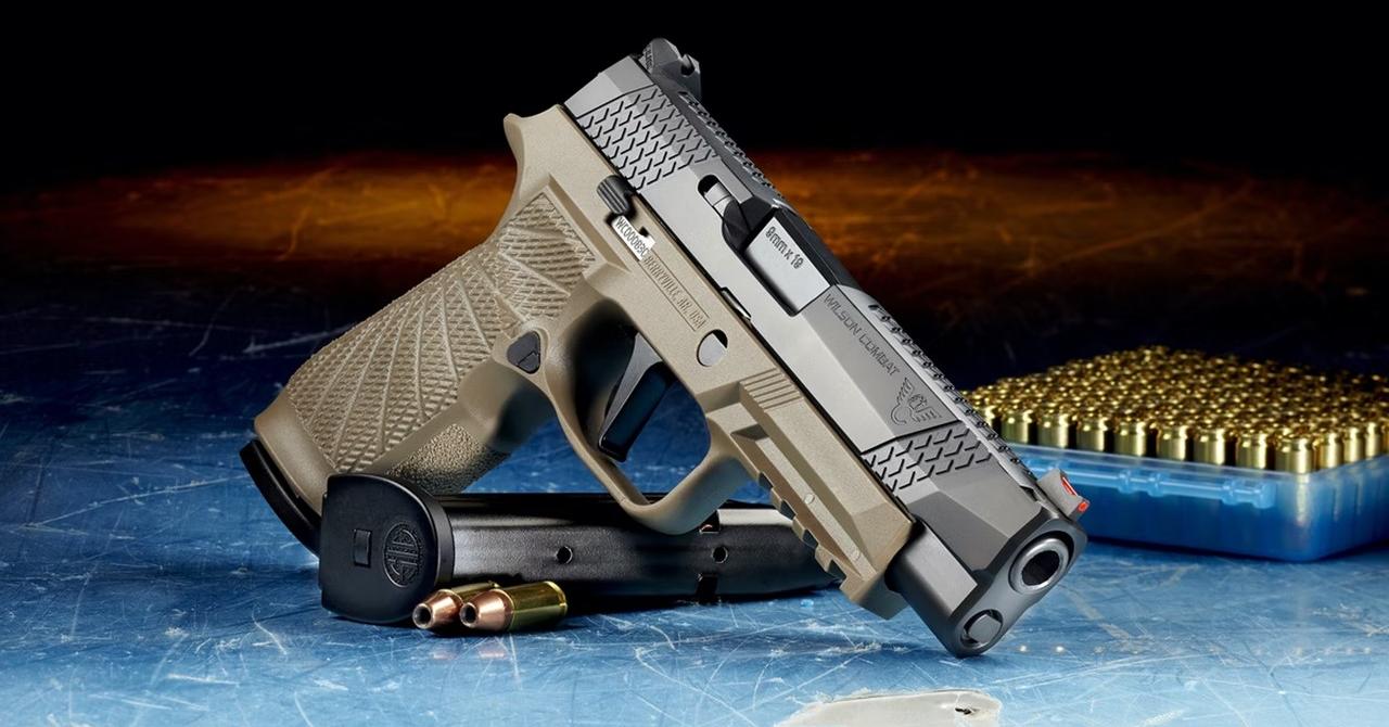 Are Guns Banned in Japan? Strict Gun Laws, Explained