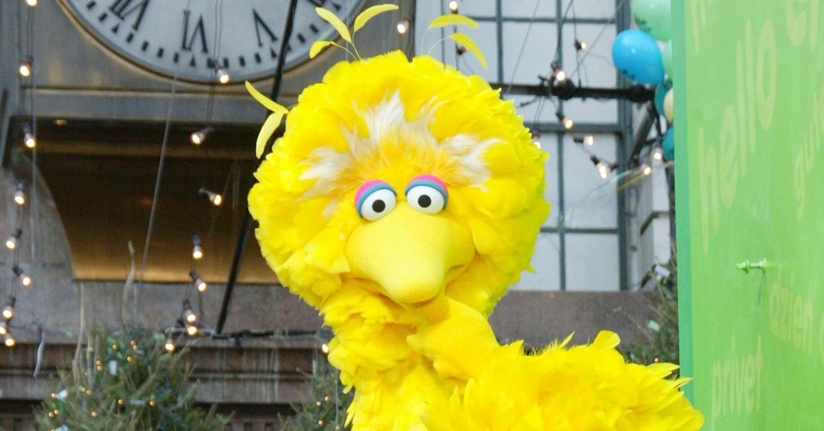 Big Bird