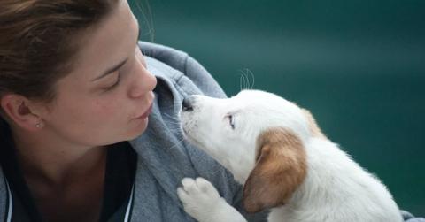 pn//uploads/bfc adb ee aafda__