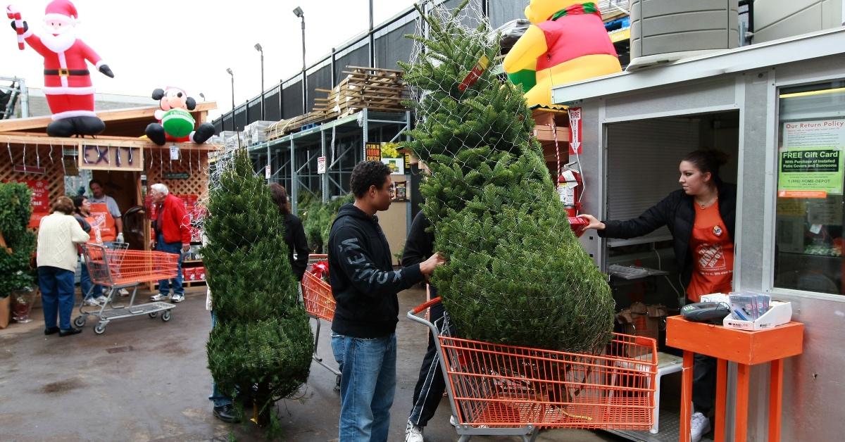 Christmas trees for sale