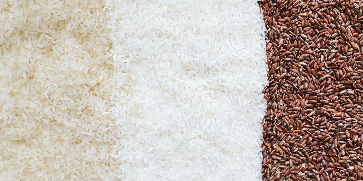 What Are the Best Food Stocks To Buy?