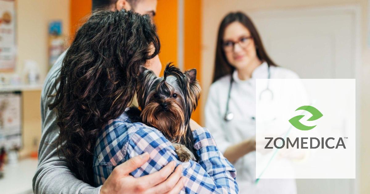 Will Zomedica (ZOM) Stock Recover, and Should You Buy It Now?