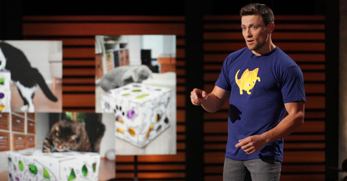 Cat Amazing ‘Shark Tank’ Update Cat Toy Sells Out Before Episode