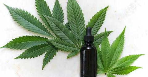 uploads///joe biden marijuana