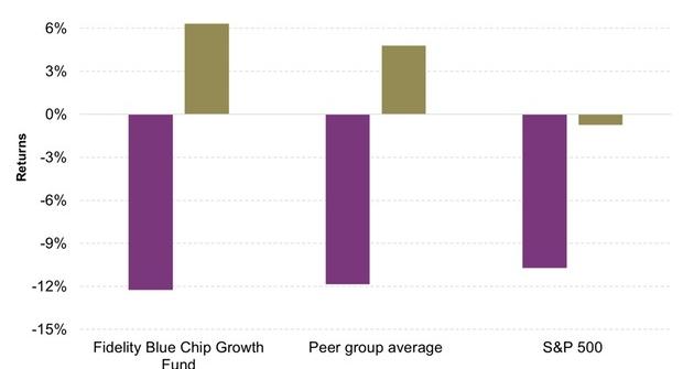 The Fidelity Blue Chip Growth Fund: Headed for a Difficult Year?