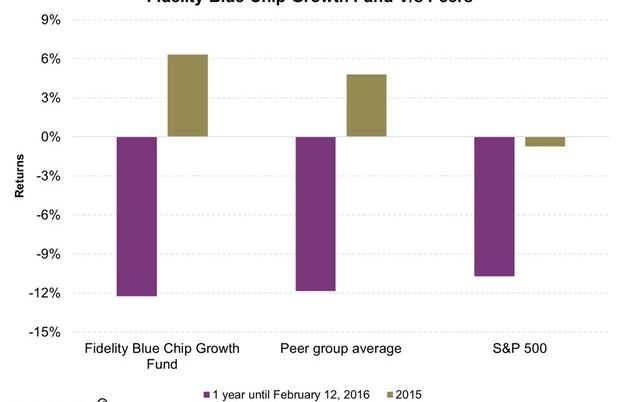 The Fidelity Blue Chip Growth Fund: Headed for a Difficult Year?