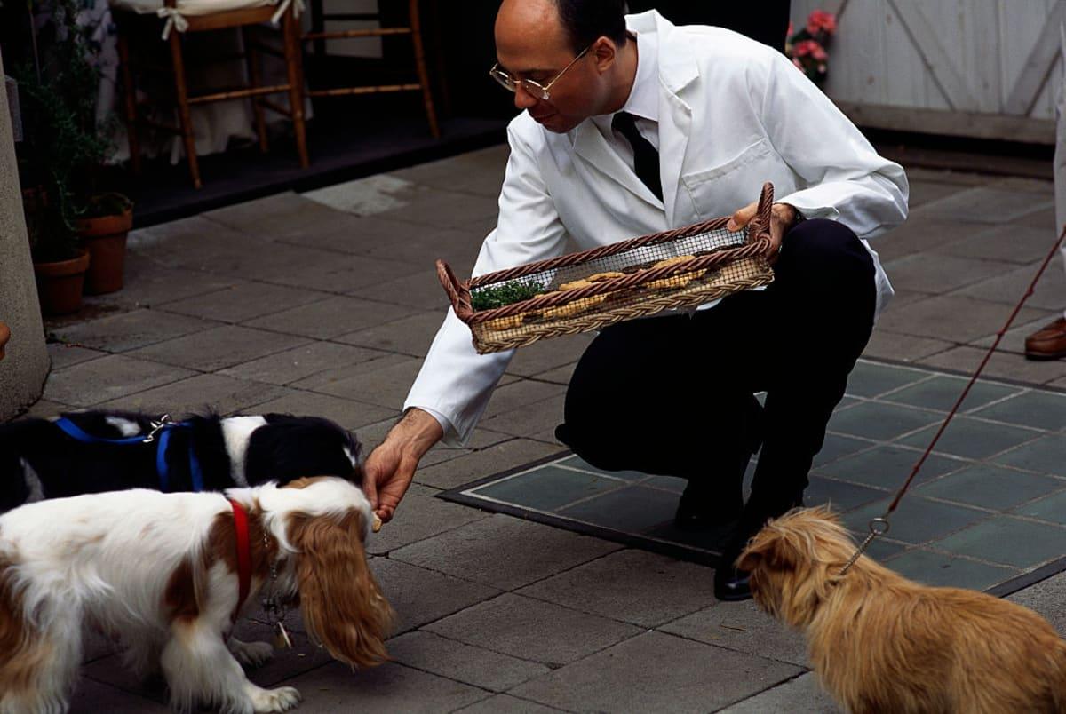 pn/edacaa add ad fb aafbdb