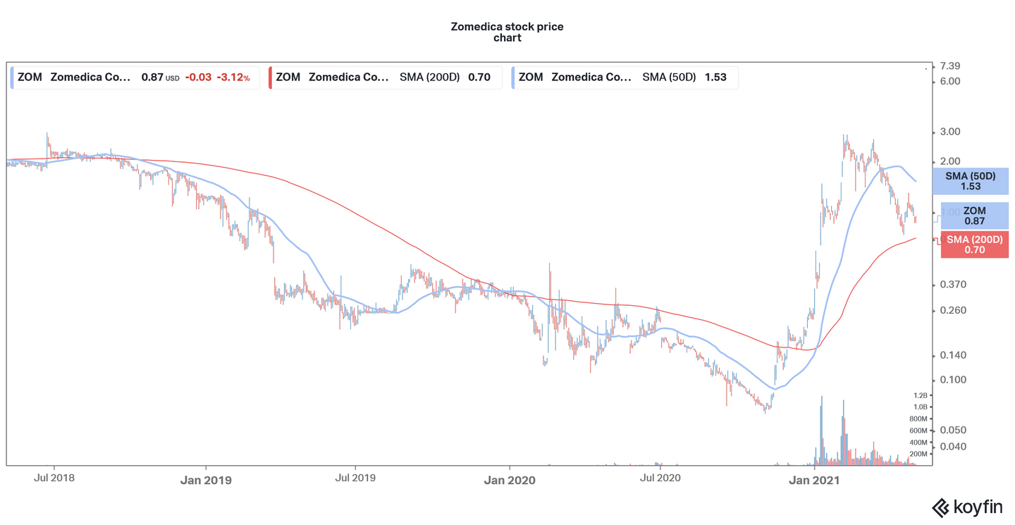 Zomedica Stock Forecast 2025: Will ZOM Rise or Fall More?