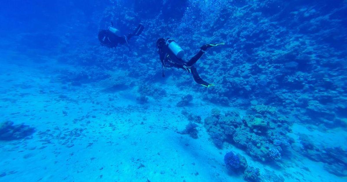 pn//uploads/daf fa ee ae debcae__