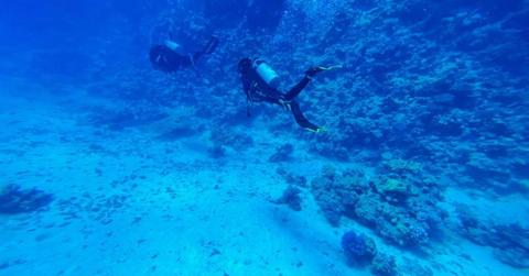 pn//uploads/daf fa ee ae debcae__