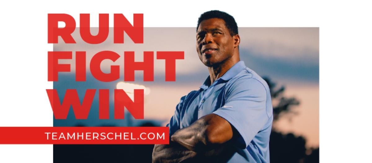 herschel walker senate