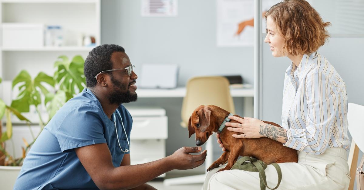 A veterinarian with customer and dog. 