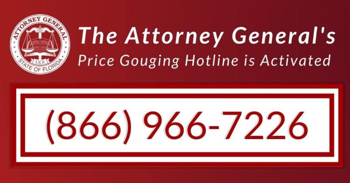 no scam hotline