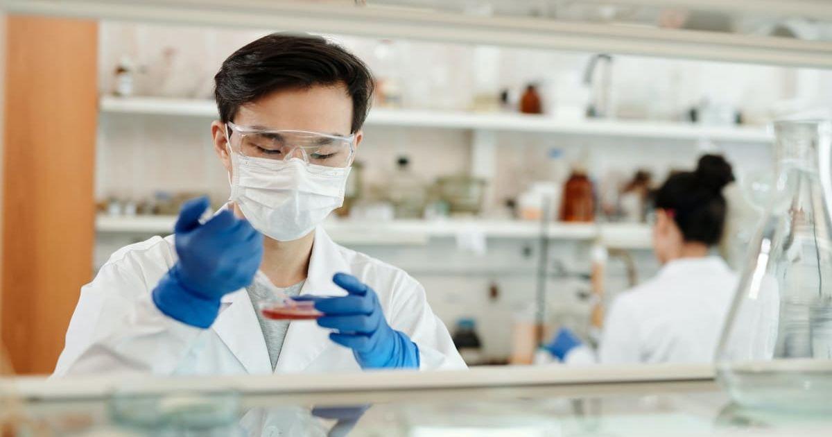 pn//uploads/aef e ee bc dcbbd__