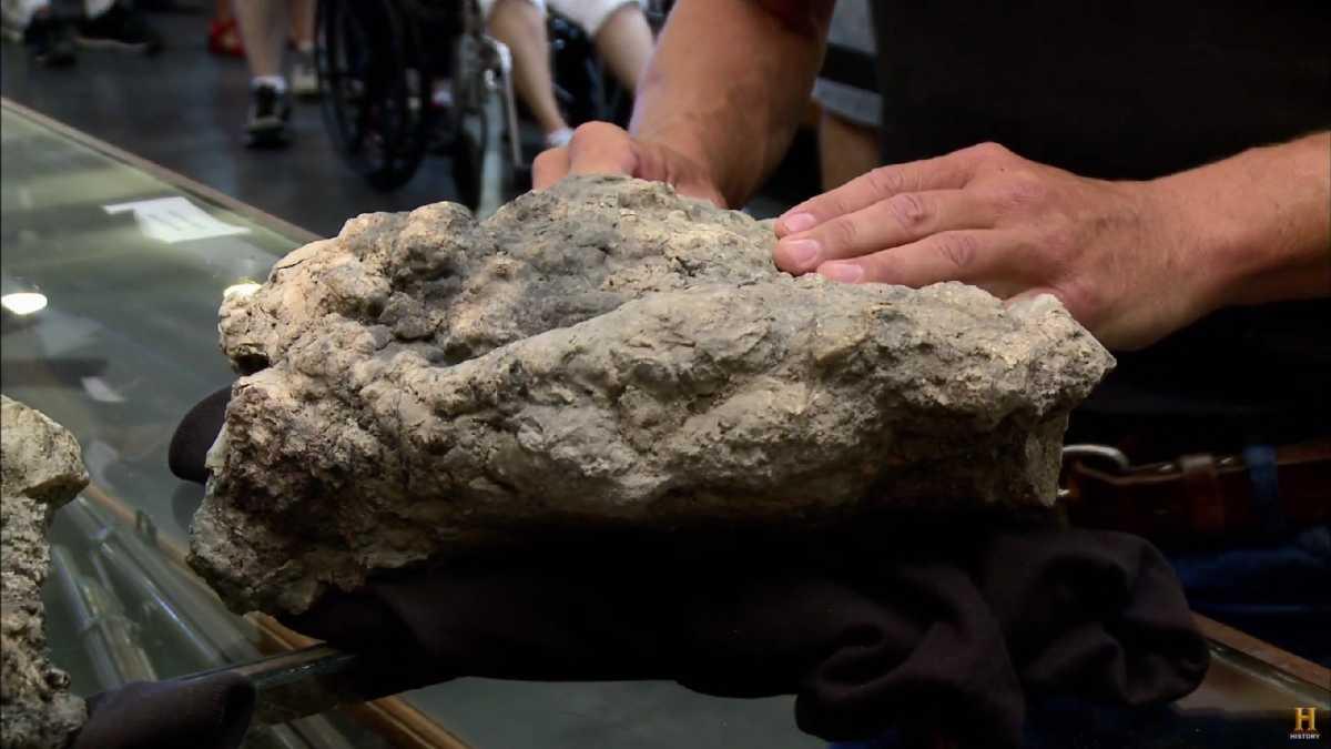 pn/aea d f aa cceadd