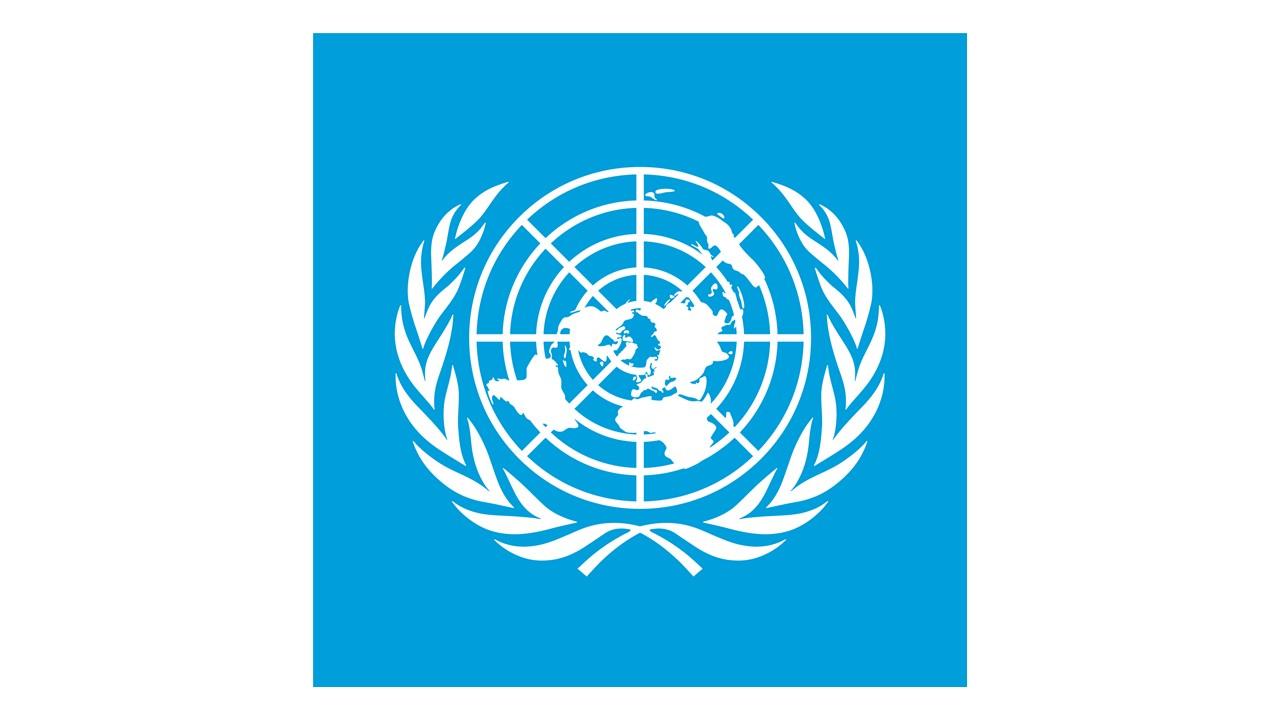 united nations global minimum tax