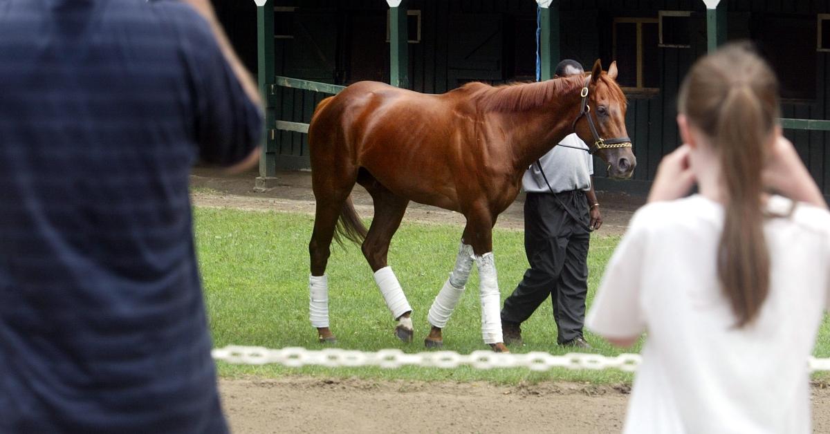 A trainer leading a thoroughbred racing horse.