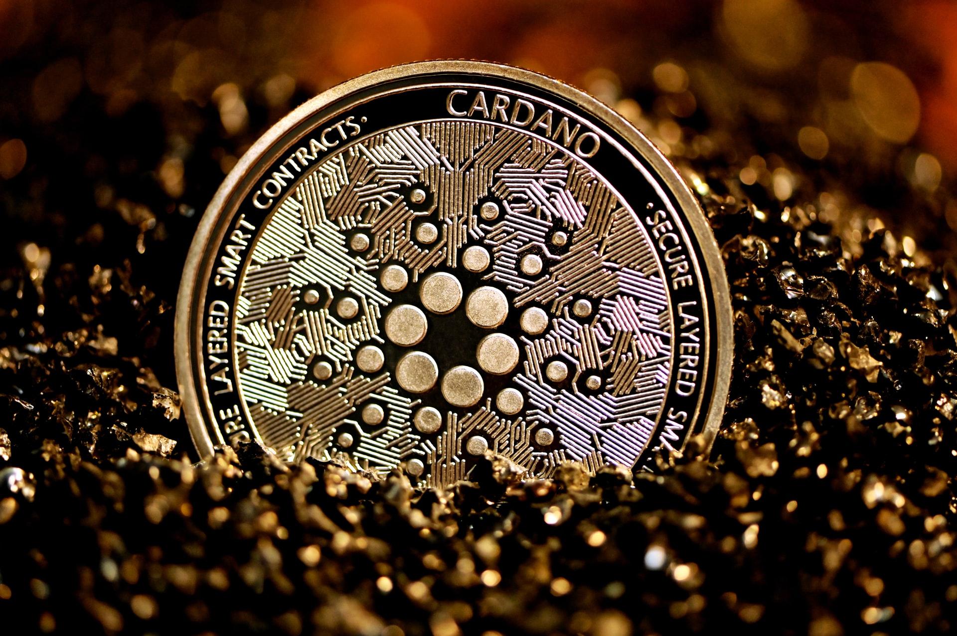 Cardano coin