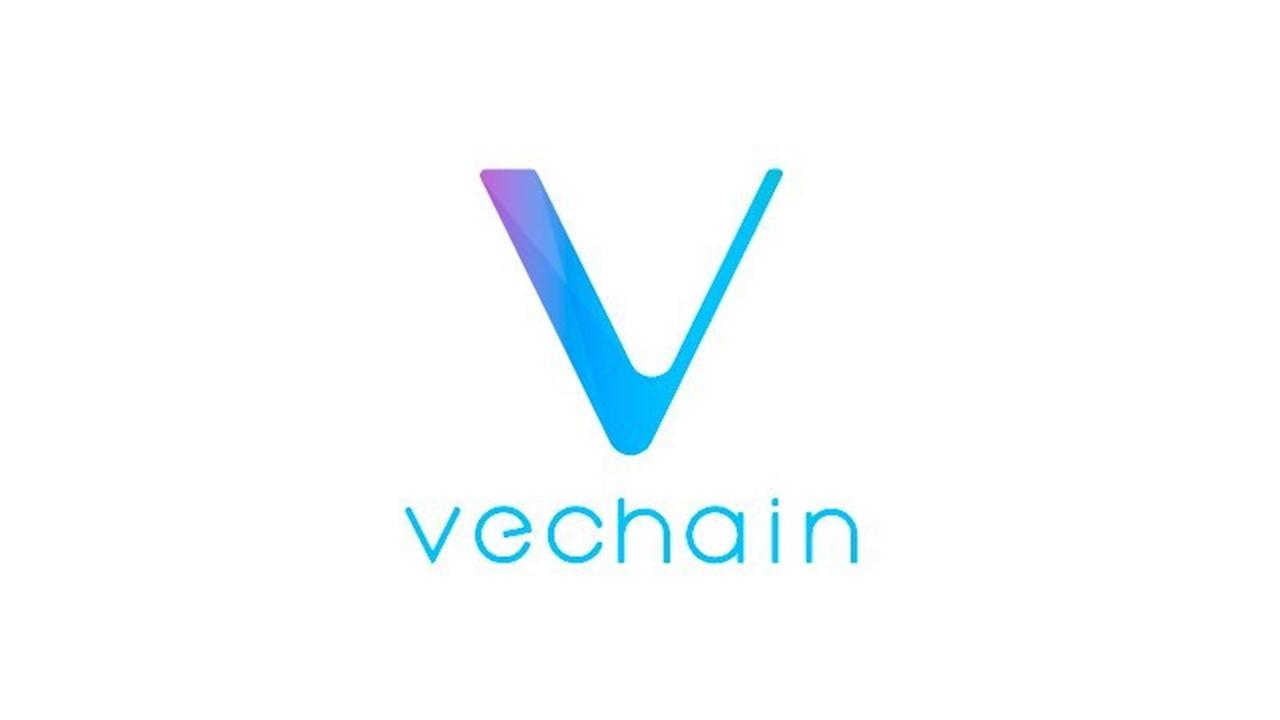 vechain long term outlook