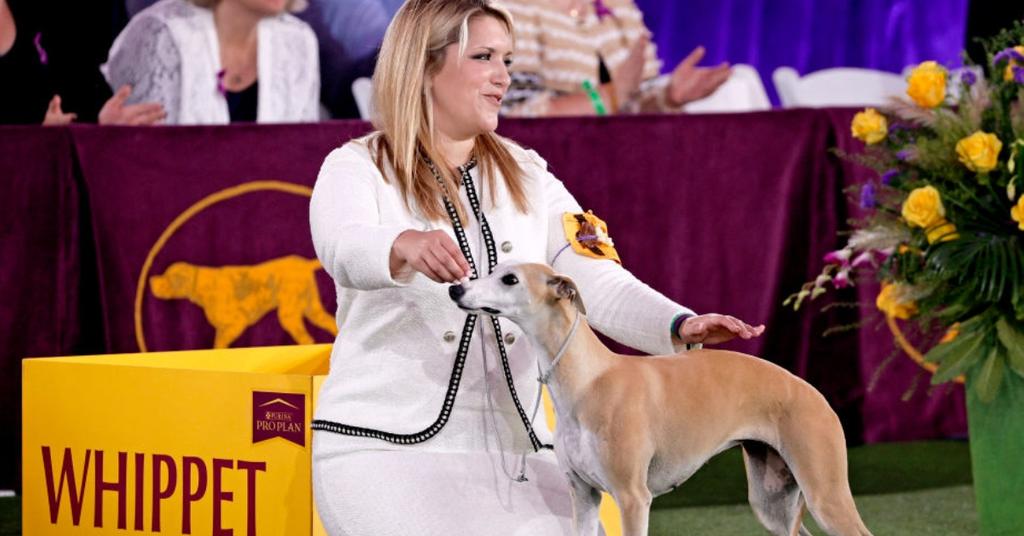 Can You Claim Pets as Dependents? PetRelated Tax Breaks Exist