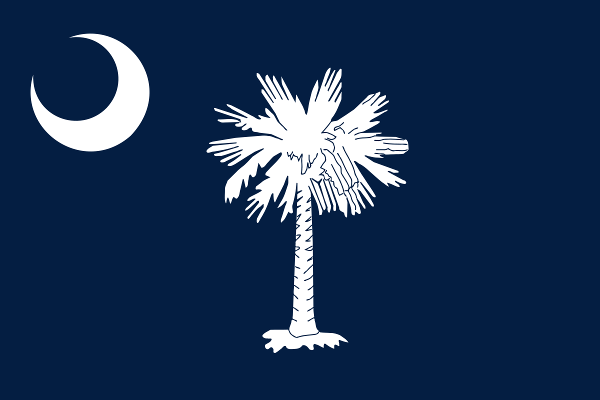 px flagofsouthcarolinasvg