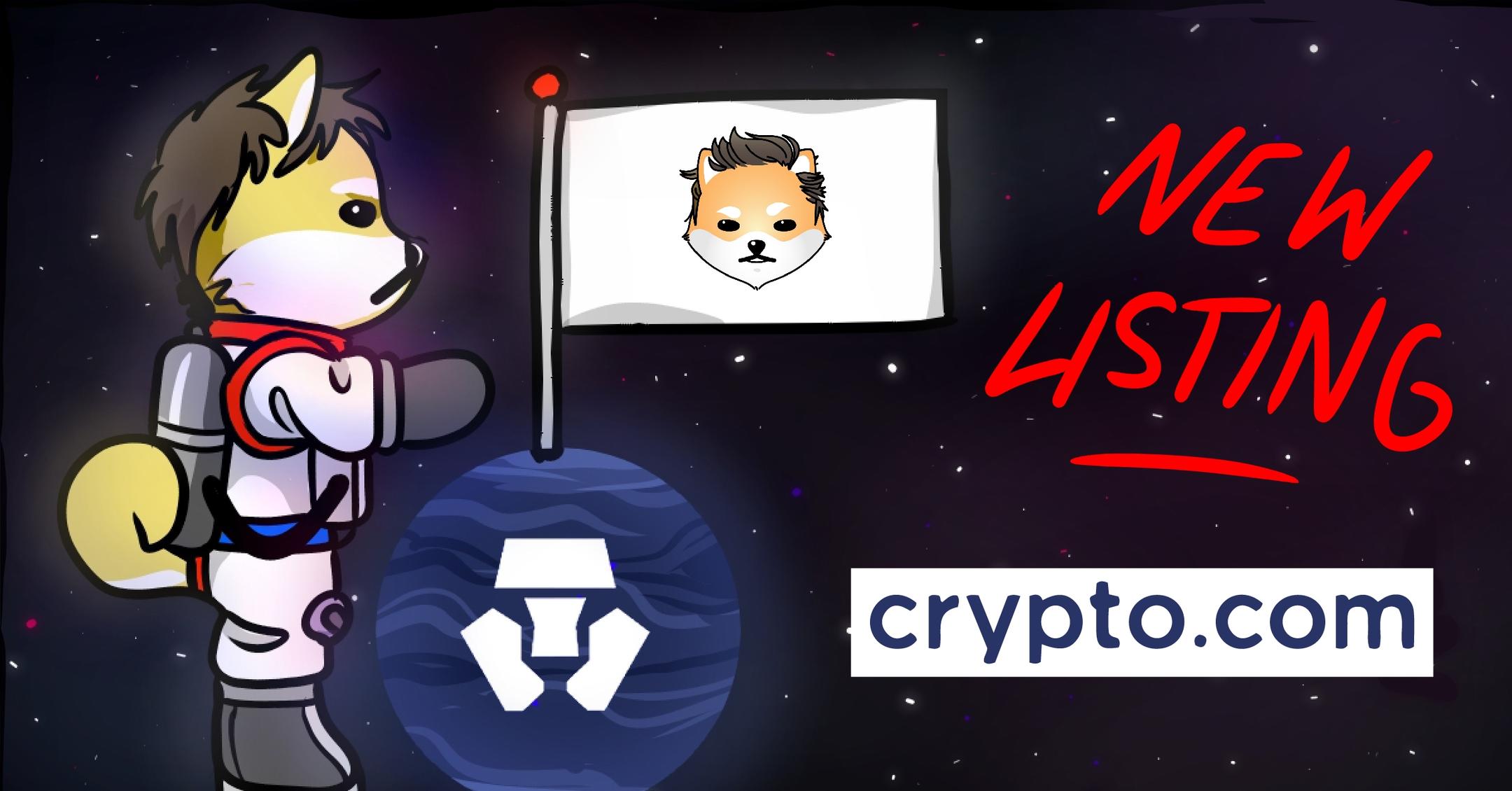 How To Buy Dogelon Mars, Another Hot DOGE Relative