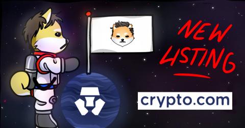 Dogelon Mars graphic