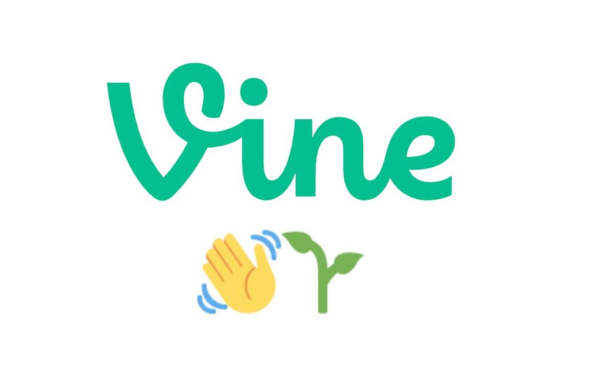 vine app