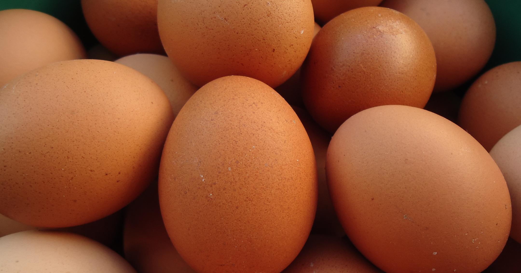 Why Are Egg Prices So High? Consumers Are Complaining As Easter Approaches
