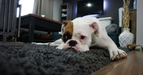 pn//uploads/eff edd ee b bc__