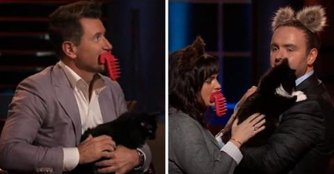 pn//uploads/d af ef aa deed__