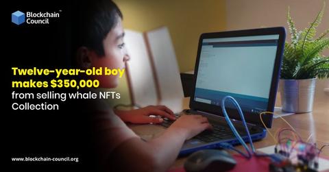 Benyamin Ahmed, the creator of Weird Whales NFT collection