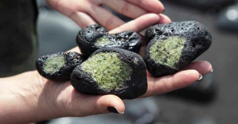 pn//uploads/ff bc ef b cbeaeb__