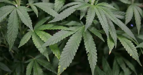 pn//uploads/f fb ee a fbcdd__