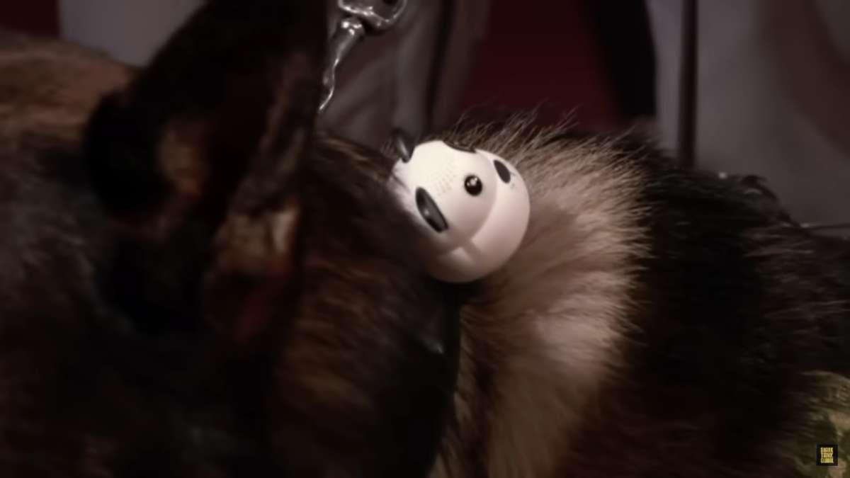 pn/edf bb d a fbeefa