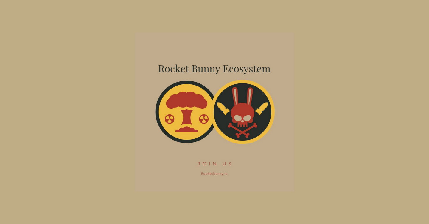 rocket bunny crypto