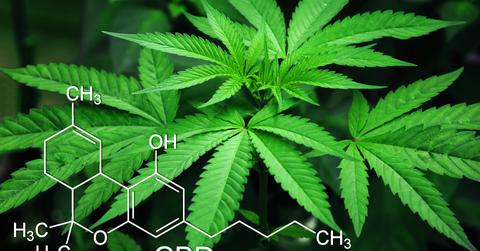 uploads///marijuana _