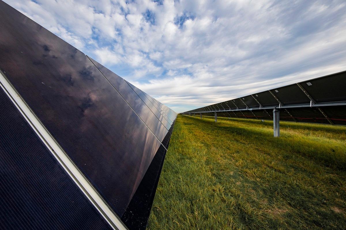 Solar panels on a sunny day in a grassy field