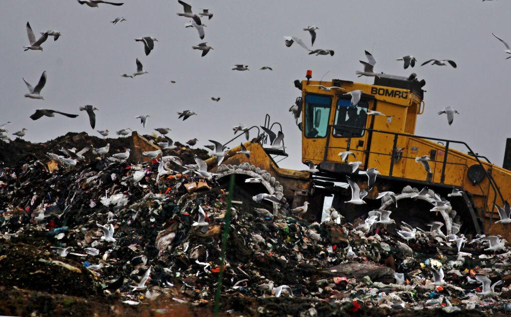 Seagulls fly around a bulldozer and rubbish at a landfill site