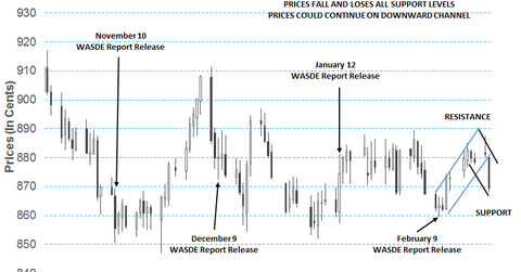 uploads///FebSoybeanTChart