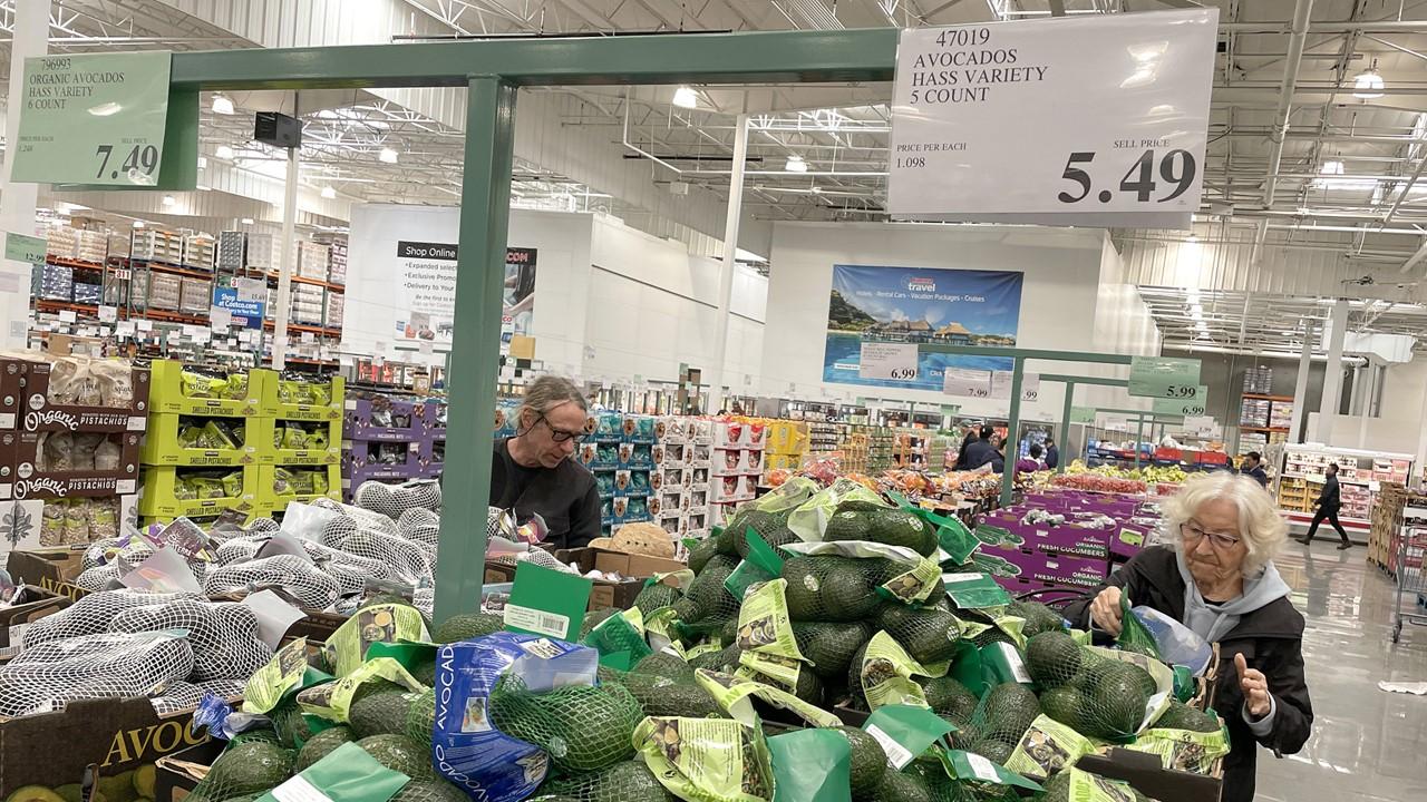 People shopping at Costco