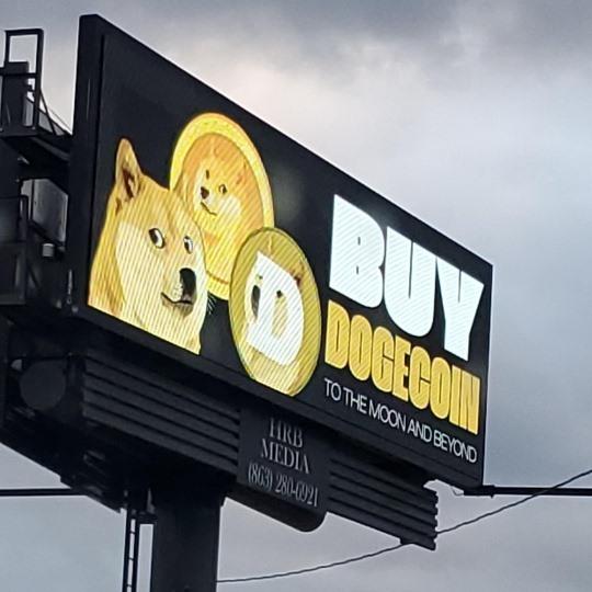 dogecoin will never go up