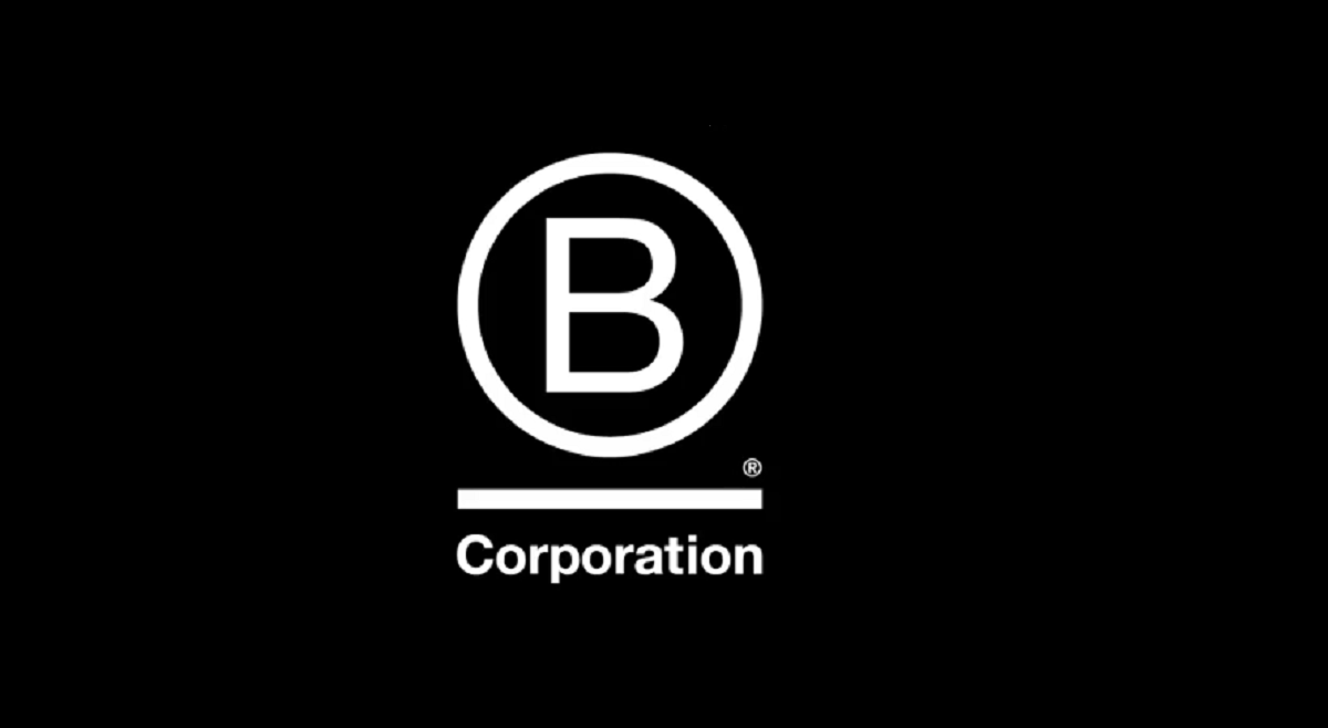 Investing In A Public Benefit Corporation — Pros And Cons